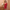 Stijlvolle glitterjurk dames met elegante pasvorm – Sophia