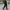 Trendy corduroy broek voor dames – Sofia
