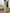 Maxi-jurk met print en lange mouwen – Amara