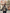 Trendy kort winterjack voor dames – Olivia