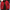 Trendy Bomberjas voor Heren – Nico