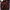 Trendy Bomberjas voor Heren – Nico