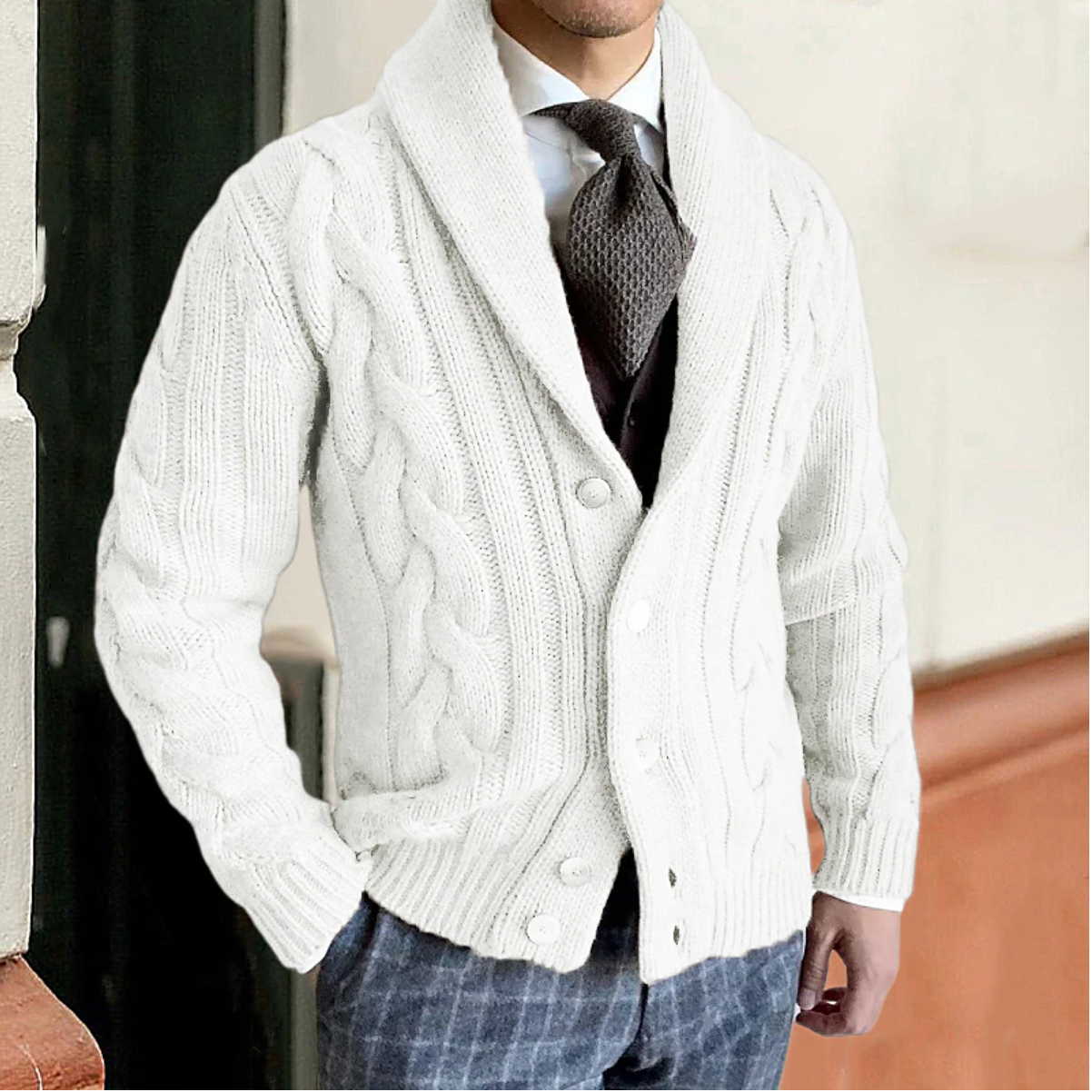 Gebreide cardigan trui voor heren – Ricardo