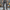 Corduroy cargo broek voor heren – Ruben