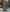 Stijlvolle Trenchcoat voor Heren – Theodore