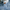 Uitlopende stretch denim jeans voor dames – Melanie