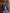 Stijlvol navy bomberjack voor dames – Elise