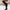Kniehoge Cowboylaarzen voor Dames – Sophie