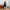 Stijlvolle waterdichte trenchcoat – Gina