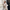 Stijlvolle cropped trenchcoat voor dames – Evelien