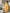 Warme Winterparka met Stijlvolle Details – Maia