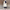 Lange dames winterjas met warme voering en elegante snit – Valentina