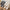 Zachte pluche damespantoffels voor ultiem comfort – Zara