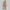 Casual trenchcoat met capuchon en ceintuur voor dames – Marit