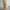 Bloemenjurk dames slank model luchtig elegant – Floravelle