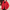 Warme en stijlvolle winterjas voor dames – Olivia