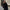 Luxe winter bontjas voor dames – Sophie
