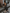 Preppy luipaardprint overhemd shacket met knopen – Mila