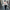 Cropped nep bont bomberjack voor dames – Luna