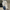 Cropped nep bont bomberjack voor dames – Luna