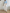 Hoge Taille Wijde Pijpen Broek Dames – Sophie
