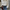 Cropped nep bont bomberjack voor dames – Luna