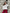 Oversized Zip-Up Polo Sweatshirt met Kraag – Sophie