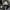 Cropped nep bont bomberjack voor dames – Luna