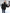 Dames Korte Pufferjas met Ceintuur – Sophie