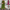 Dames Gelaagde Chiffon Jurk Elegant Comfort Zomer – Viviana