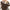 Warme teddy damesjas voor comfort en stijl – Olivia