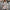 Warme teddy damesjas voor comfort en stijl – Olivia