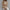 Gebreide Elegante Pullover met Halfhoge Hals – Sofia