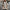 Warme teddy damesjas voor comfort en stijl – Olivia