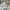 Gestreepte pullover trui voor dames – Emma