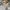 Gestreepte pullover trui voor dames – Emma
