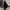 Luxe winter bontjas voor dames – Sophie