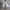 Rib romper jurk met ingebouwd broekje en stretch – Elenari