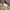 Minimalistisch bomberjack voor dames – Lina