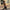 Dames Retro Leren Bomberjack – Elise