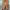Elegante getailleerde blazer voor dames – Sophie
