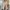 Elegante getailleerde blazer voor dames – Sophie