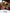 Dames Retro Leren Bomberjack – Elise