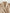 Stijlvolle cropped trenchcoat voor dames – Evelien