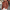 Gebreide cardigan met knopen voor heren – Andrew