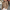 Gebreide cardigan met knopen voor heren – Andrew