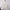 Elegante dames coltrui met zachte en warme pasvorm – Olivia