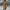 Stijlvolle winter trenchcoat voor dames – Sophie