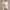 Stijlvolle off-shoulder trui voor een elegante look – Isabella