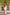 Strapless bloemenjurk voor dames met lange rok – Avaleen